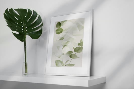 Whispers of Eucalyptus No2